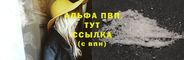 ECSTASY Гусев