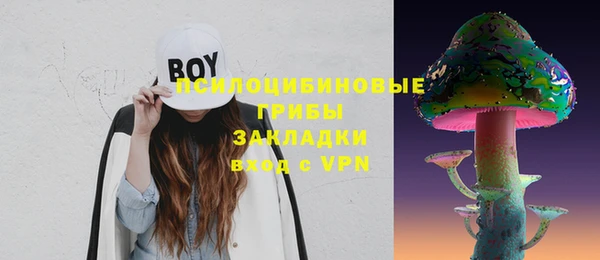 марки lsd Гусь-Хрустальный