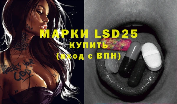 ECSTASY Гусев