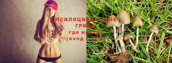 ALPHA-PVP Гусиноозёрск