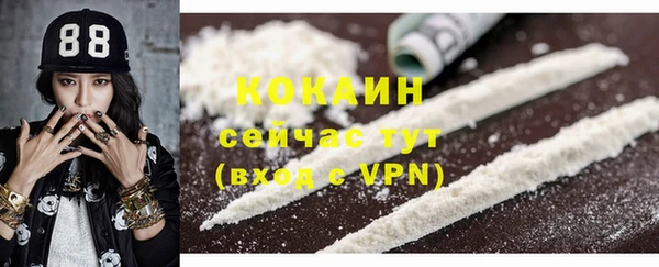 ECSTASY Гусев